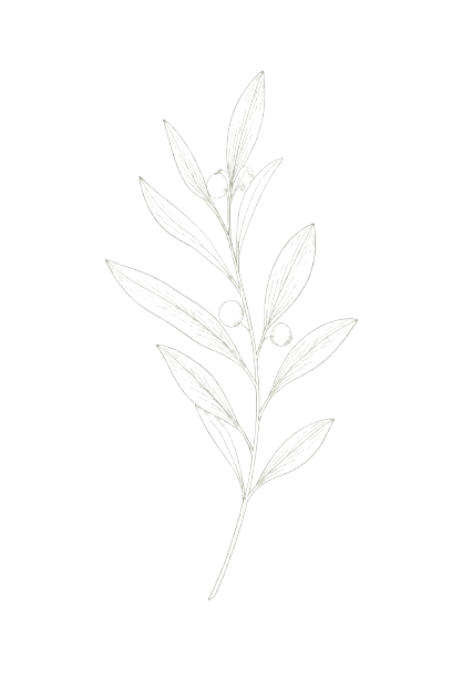 Decorative botanical illustration